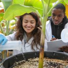 Experiential Learning Opportunities