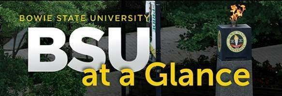 BSU At A Glance Header