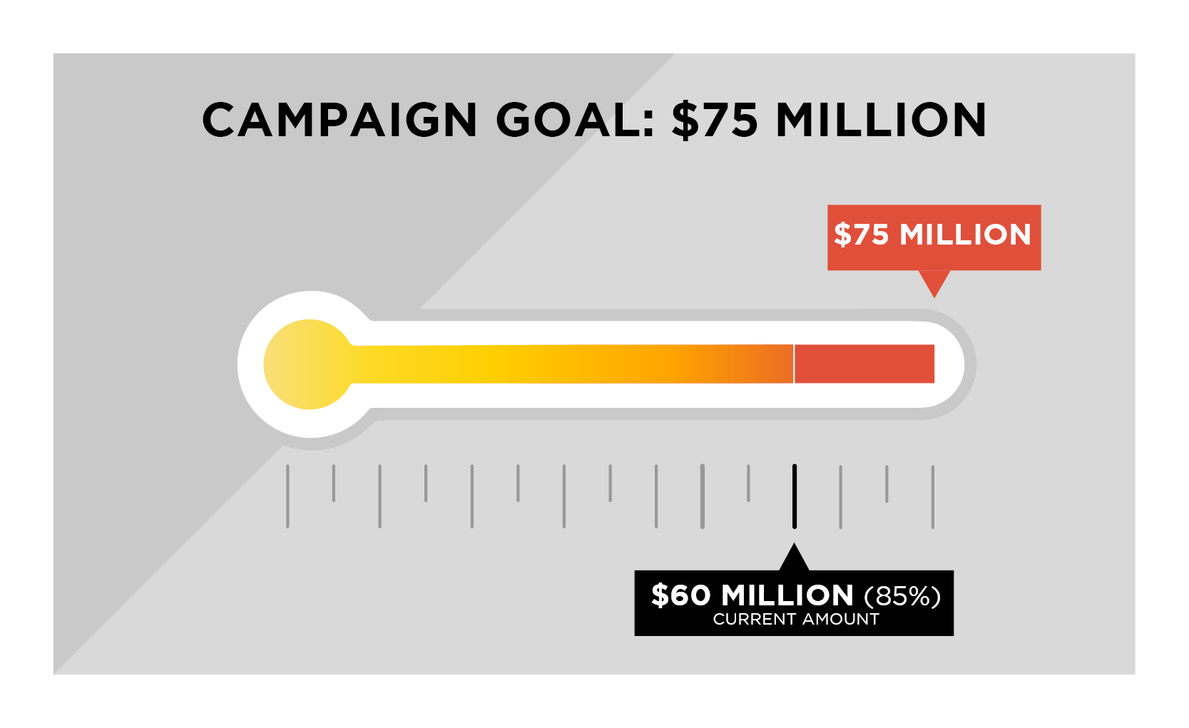  Graph showing progress, currently at 85%, towards 75 million dollar goal