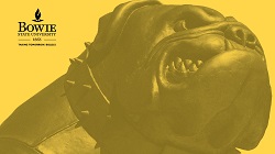 campus aerial teams background