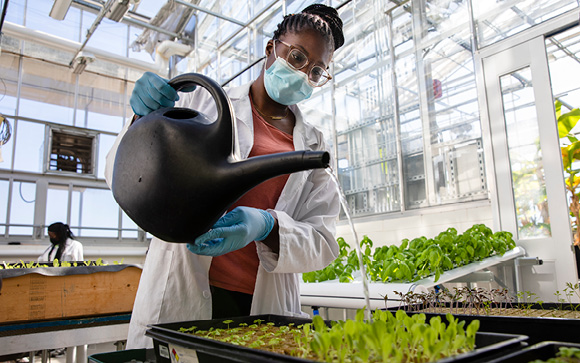 BSU Introduces New Aquaponics and Hydroponics Programs