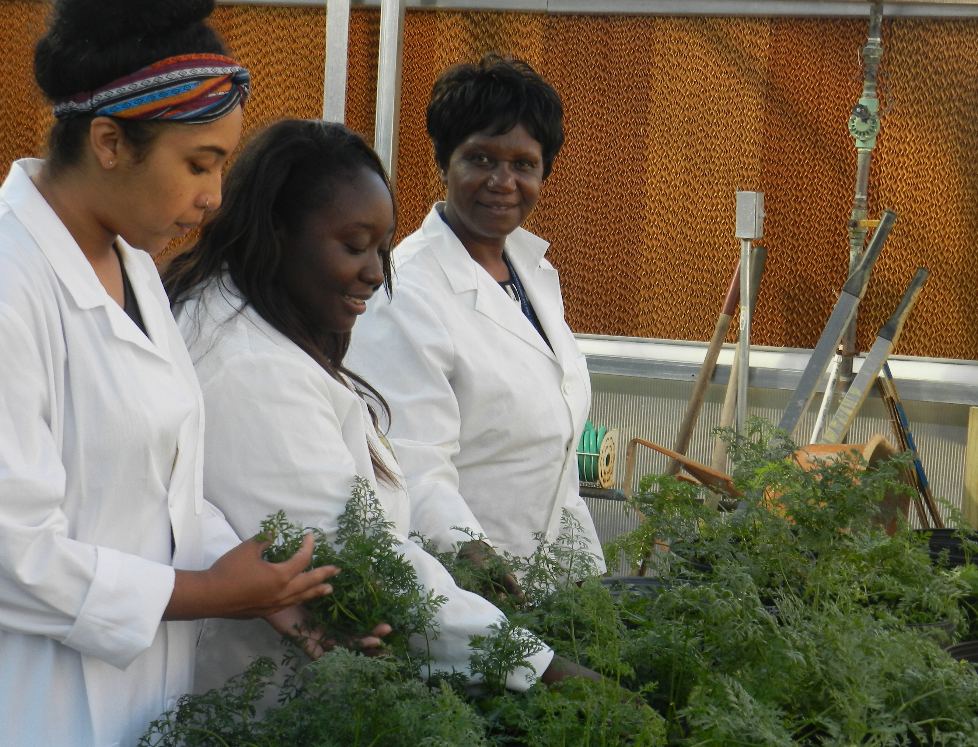doctor osano with students in the greenhouse